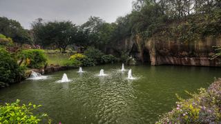莲花山风景区 景点图 437_13