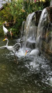 莲花山风景区 景点图 437_19