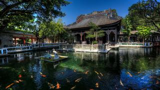 宝墨园 景点图 439_2