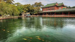 宝墨园 景点图 439_3