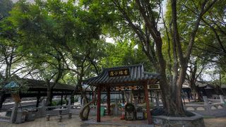 宝墨园 景点图 439_19