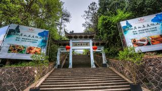 神仙居 景点图 445_4