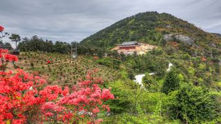 高姥山杜鹃花海 景点图 447_6