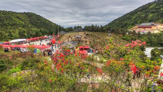 高姥山杜鹃花海 景点图 447_7