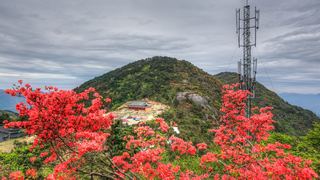 高姥山杜鹃花海 景点图 447_8