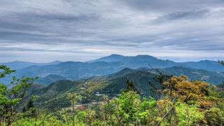 高姥山杜鹃花海 景点图 447_10