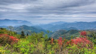 高姥山杜鹃花海 景点图 447_15