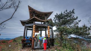 高姥山杜鹃花海 景点图 447_16