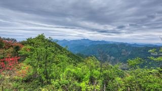高姥山杜鹃花海 景点图 447_20