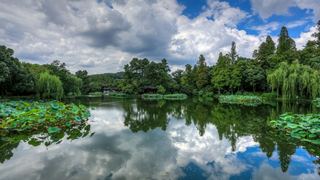 2015杭州西湖荷花展 景点图 449_4