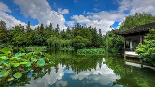 2015杭州西湖荷花展 景点图 449_8