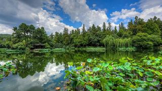 2015杭州西湖荷花展 景点图 449_10