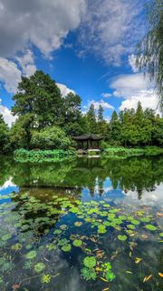 2015杭州西湖荷花展 景点图 449_14