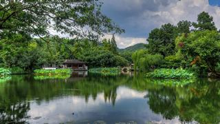 2015杭州西湖荷花展 景点图 449_15