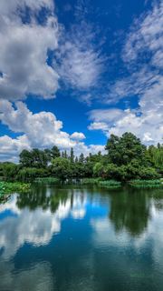2015杭州西湖荷花展 景点图 449_18