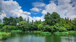 2015杭州西湖荷花展 景点图 449_20