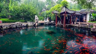 五龙潭 景点图 45_4