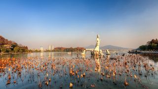 玄武湖秋天景色 景点图 450_8