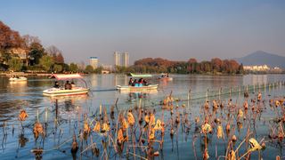 玄武湖秋天景色 景点图 450_9