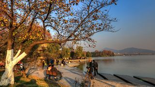 玄武湖秋天景色 景点图 450_15