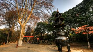 栖霞山秋天红叶 景点图 451_4
