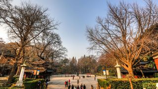 栖霞山秋天红叶 景点图 451_13