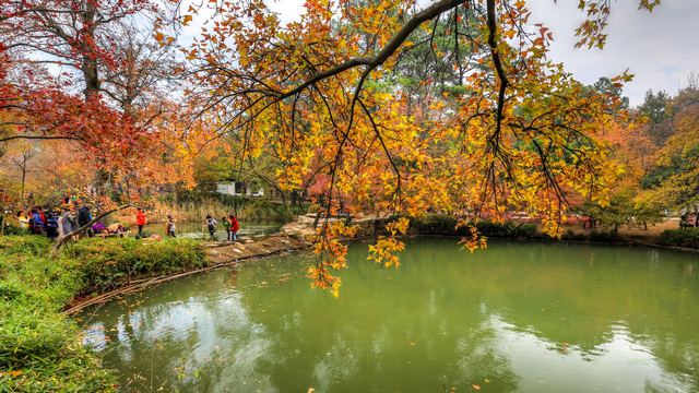 天平山秋天红叶