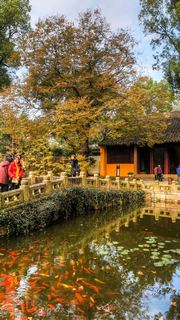 天平山秋天红叶 景点图 452_16