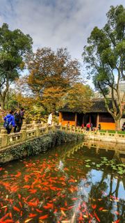 天平山秋天红叶 景点图 452_17