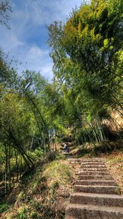 清风寨风景区 景点图 455_14