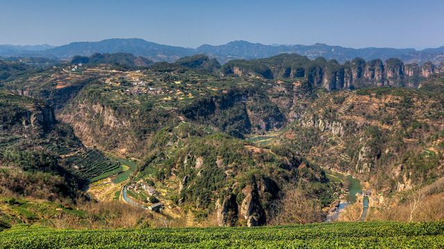 江南欧米伽大拐弯