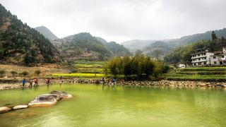 开化台回山油菜花 景点图 459_3