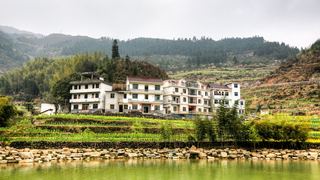 开化台回山油菜花 景点图 459_4