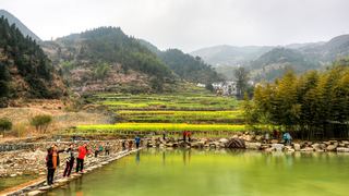 开化台回山油菜花 景点图 459_5