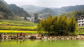 开化台回山油菜花 景点图 459_6