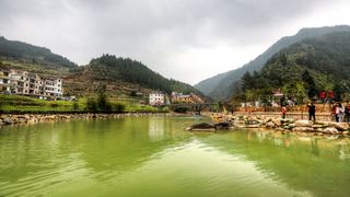 开化台回山油菜花 景点图 459_7