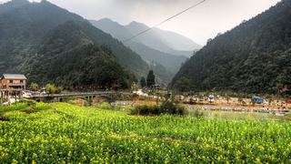 开化台回山油菜花 景点图 459_11