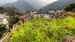 开化台回山油菜花 景点图 459_19