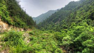 荞麦岭古道 景点图 463_10