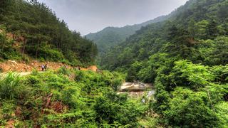 荞麦岭古道 景点图 463_11