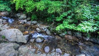 荞麦岭古道 景点图 463_12