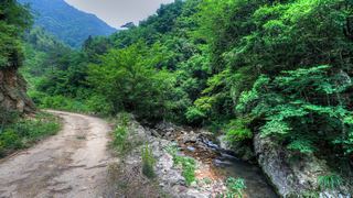 荞麦岭古道 景点图 463_13