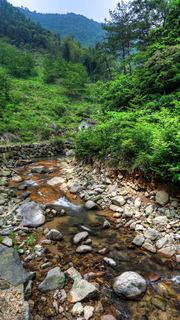 荞麦岭古道 景点图 463_14