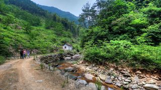 荞麦岭古道 景点图 463_15