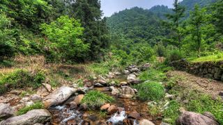 荞麦岭古道 景点图 463_18