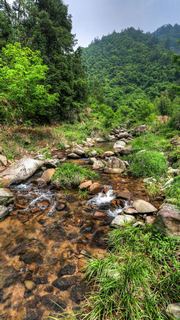 荞麦岭古道 景点图 463_19