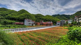 大盘山 景点图 467_2