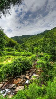 大盘山 景点图 467_3