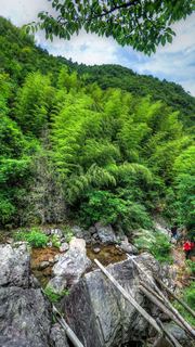 大盘山 景点图 467_7