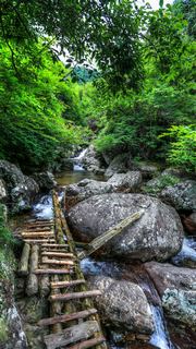 大盘山 景点图 467_8
